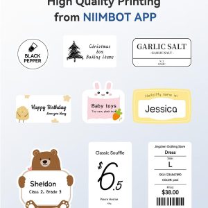 NIIMBOT B1 Inkless Thermal Label Printer, Create Professional Business Labels with Ease
