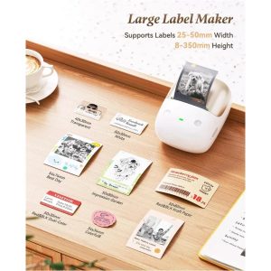 NIIMBOT B2 Pro 300 DPI High Definition, Portable Thermal Label Printer with Fun APP for Photos, Scrapbook, Home, School Organization