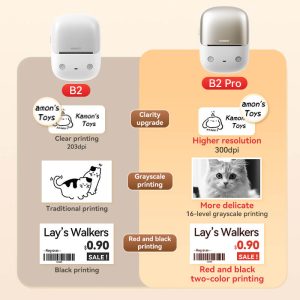 NIIMBOT B2 Label Maker, Thermal Label Printer, Portable Inkless Label Makers for Home/Office/Business