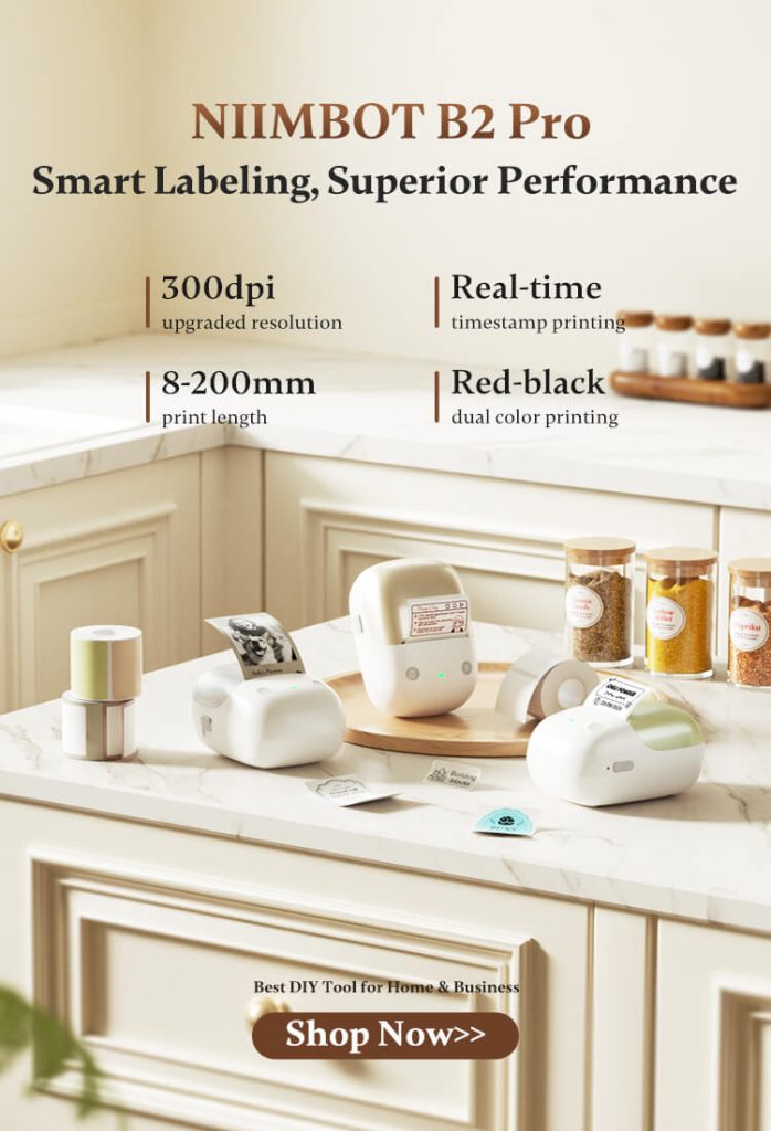 NIIMBOT B2 Pro